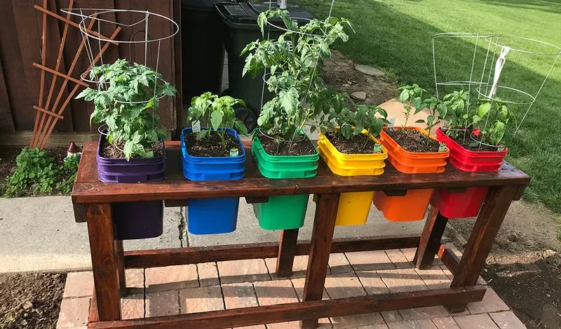 Container Selection