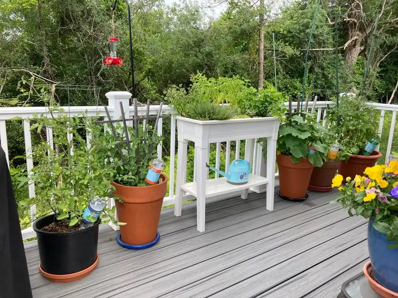 Container Vegetable Garden