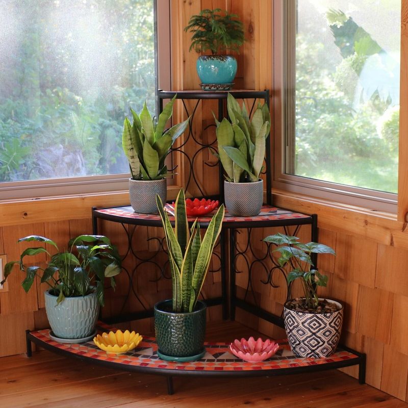 Corner Plant Stand