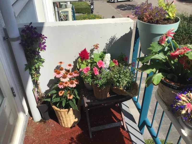 Cottagecore Balcony