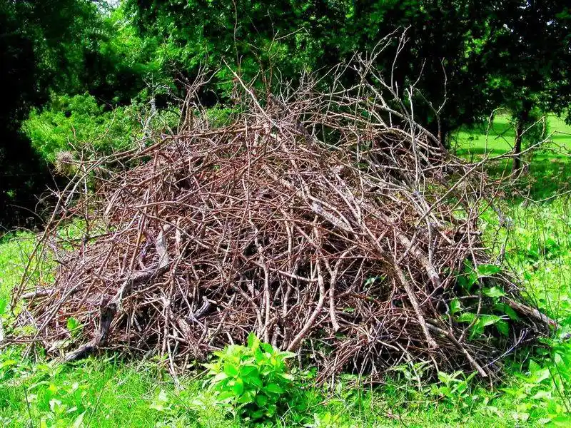 Creating Brush Piles