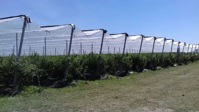 Crop Rotation