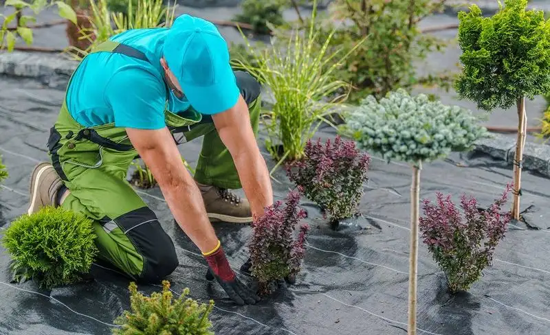 Crowding Plants