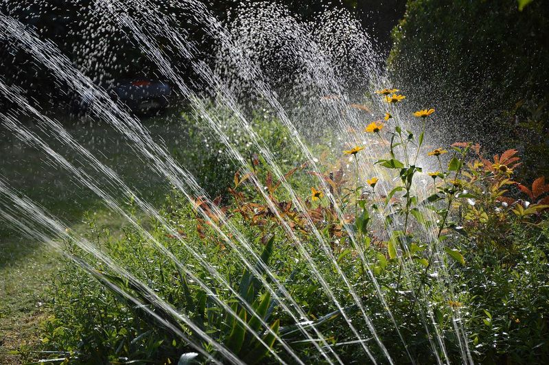 Customized Watering Systems