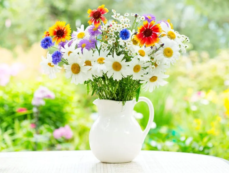 Cut Flower Preserver