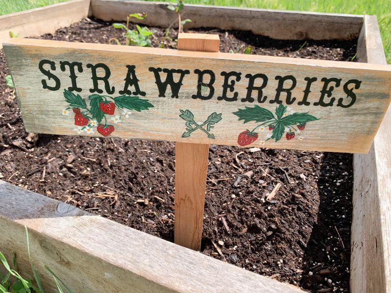 DIY Garden Signs