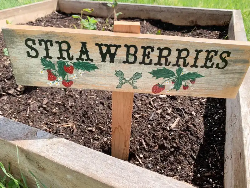 DIY Garden Signs