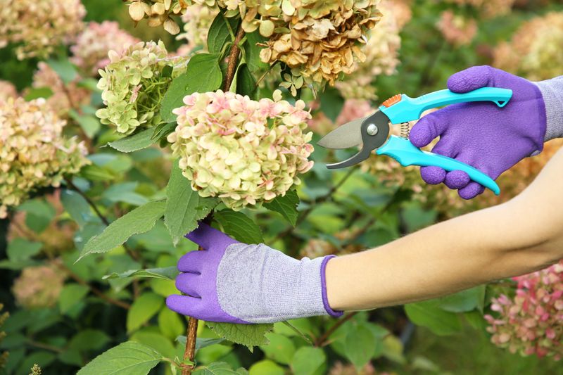 Deadheading