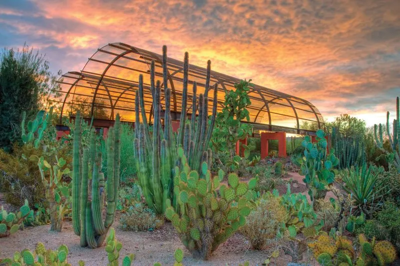 Desert Botanical Garden, USA
