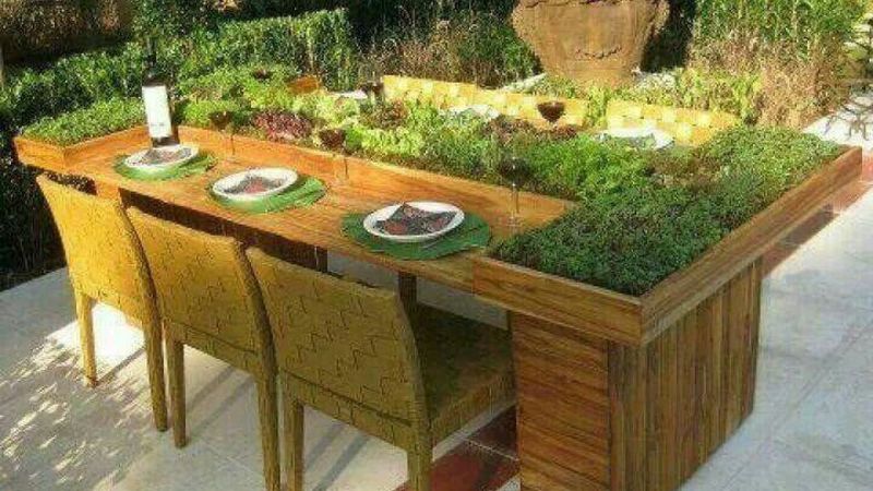 Desk Herb Garden