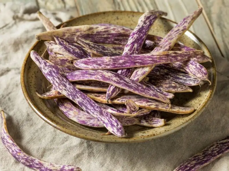 Dragon Tongue Beans