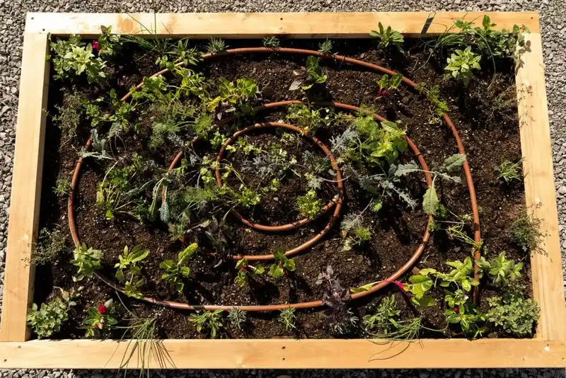 Drip Irrigation System