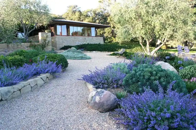 Drought-Resistant Gardens