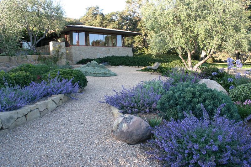 Drought-Tolerant Gardens