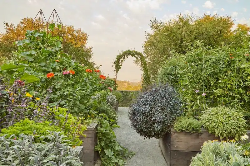 Edible Gardens