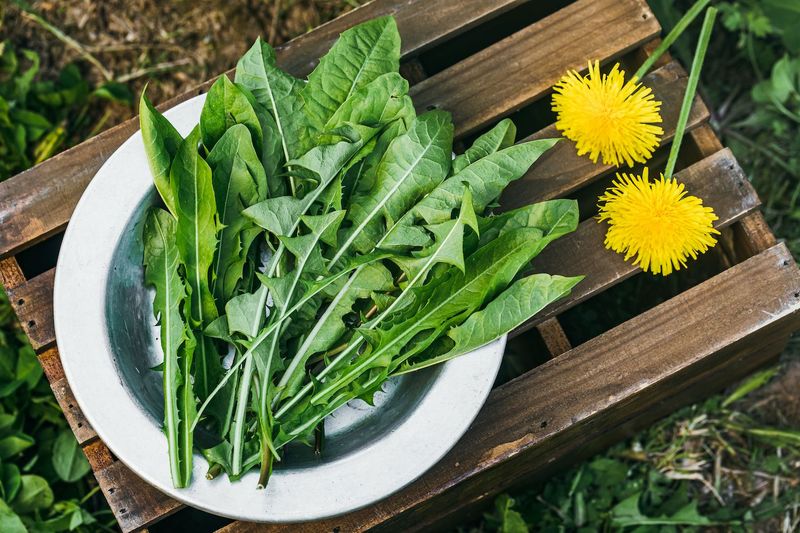 Electric Dandelion Greens