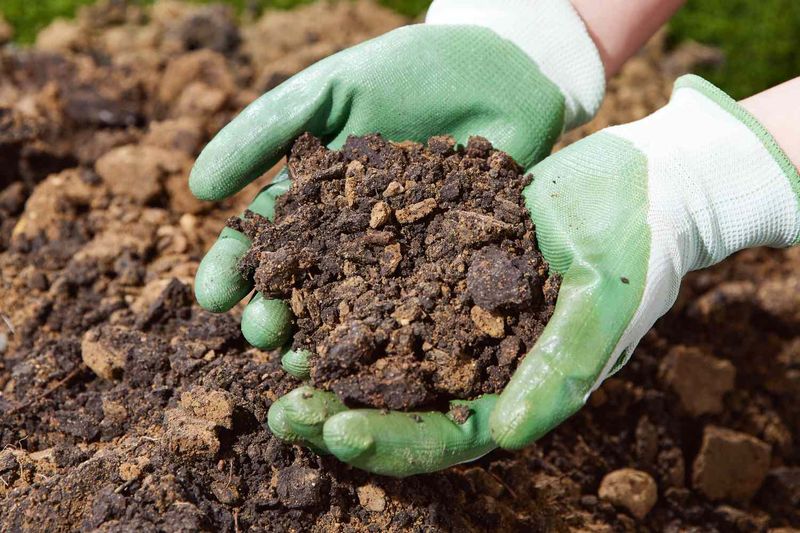 Enhance Garden Soil