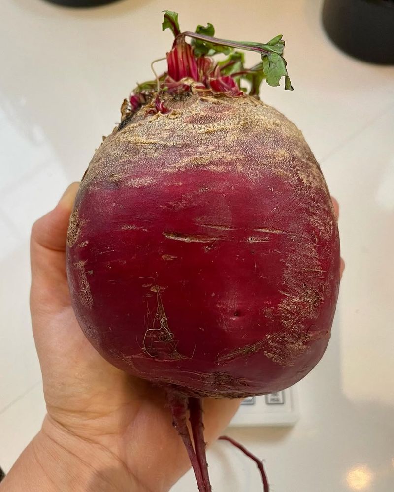 Enormous Beetroot