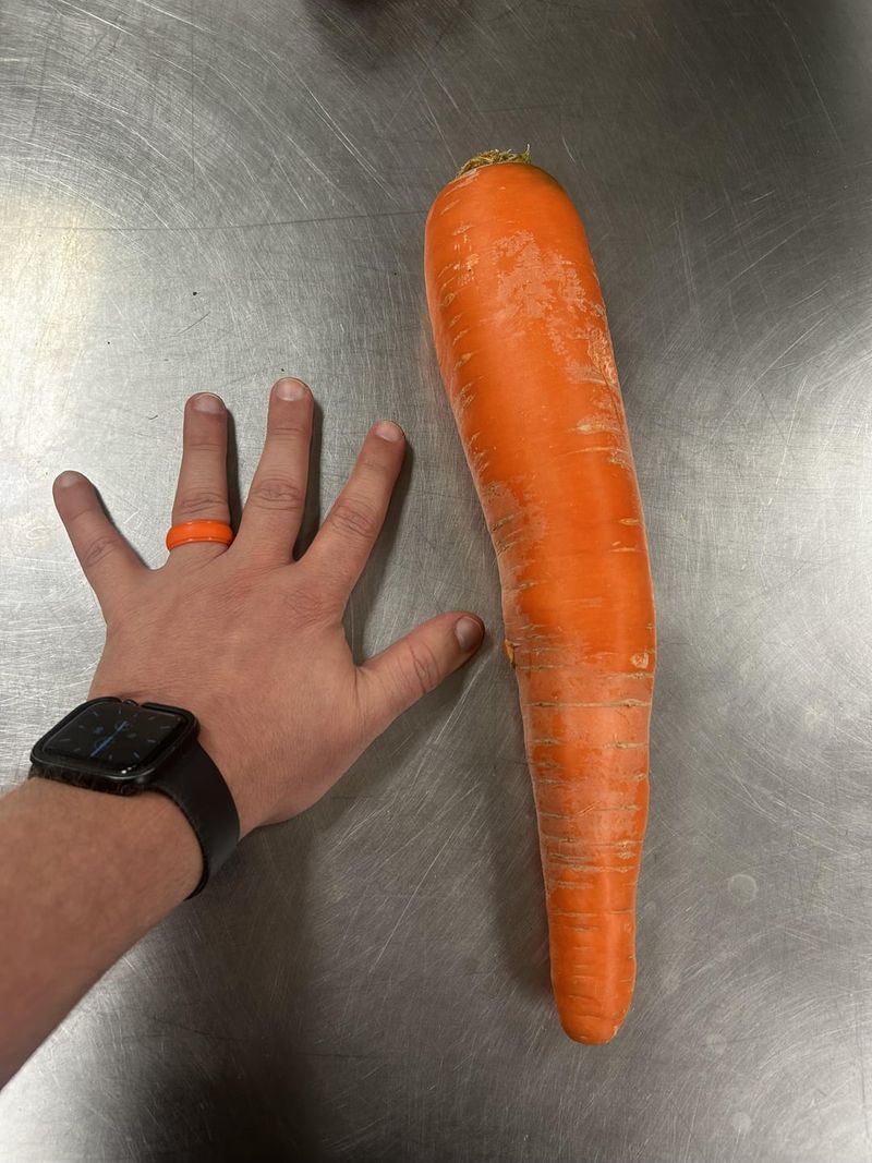 Enormous Carrot