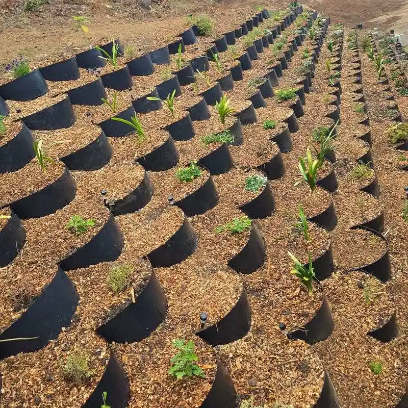 Erosion Control