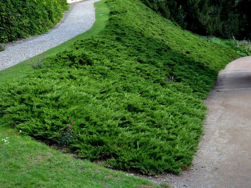 Erosion Control