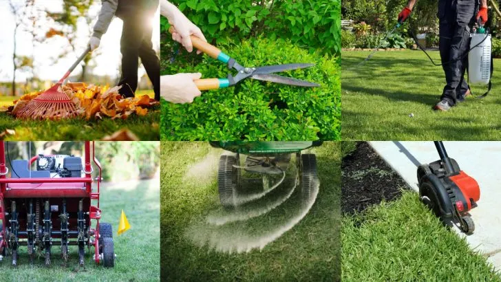 21 Essential Spring Cleaning Steps for a Tidy and Beautiful Yard