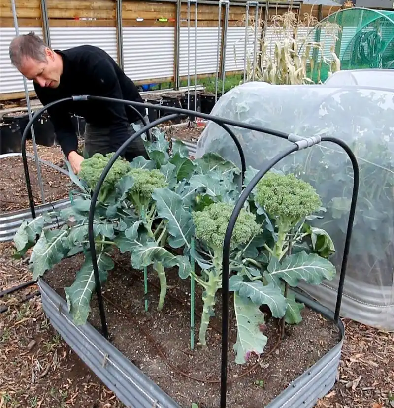 Failing to Rotate Crops