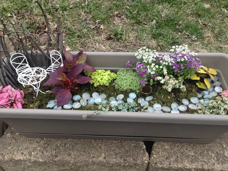 Fairy Gardens