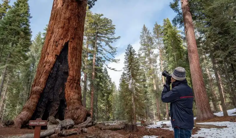 Natural Landmark