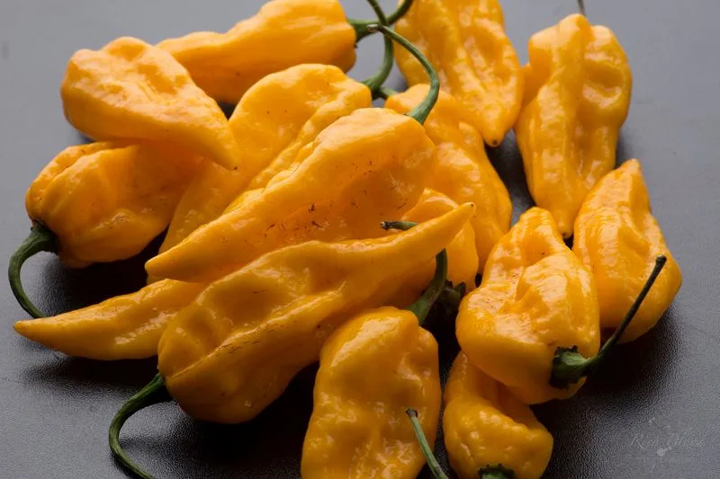 Fatalii