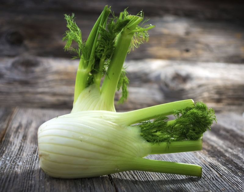 Fennel