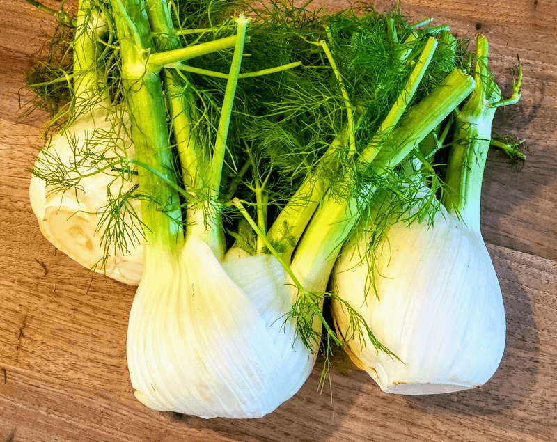 Fennel