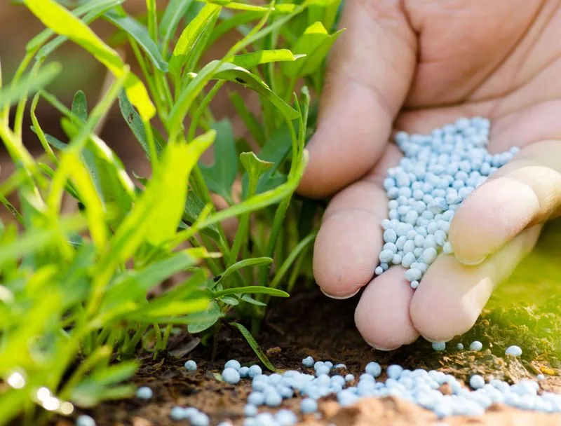 Fertilizer Timing