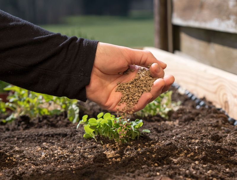 Fertilizing Appropriately