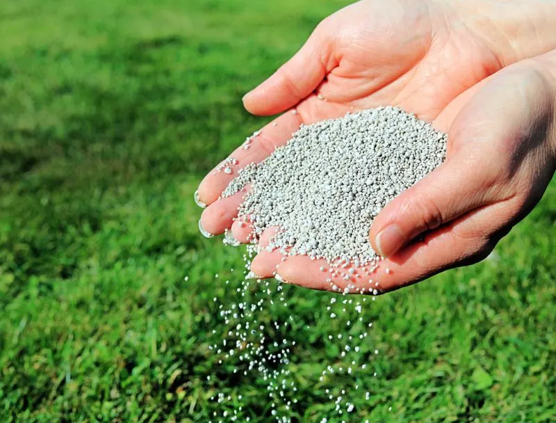 Fertilizing for Health