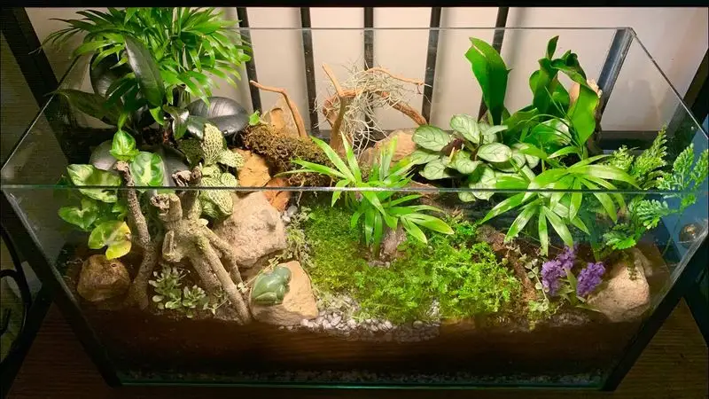 Fish Tank Terrariums