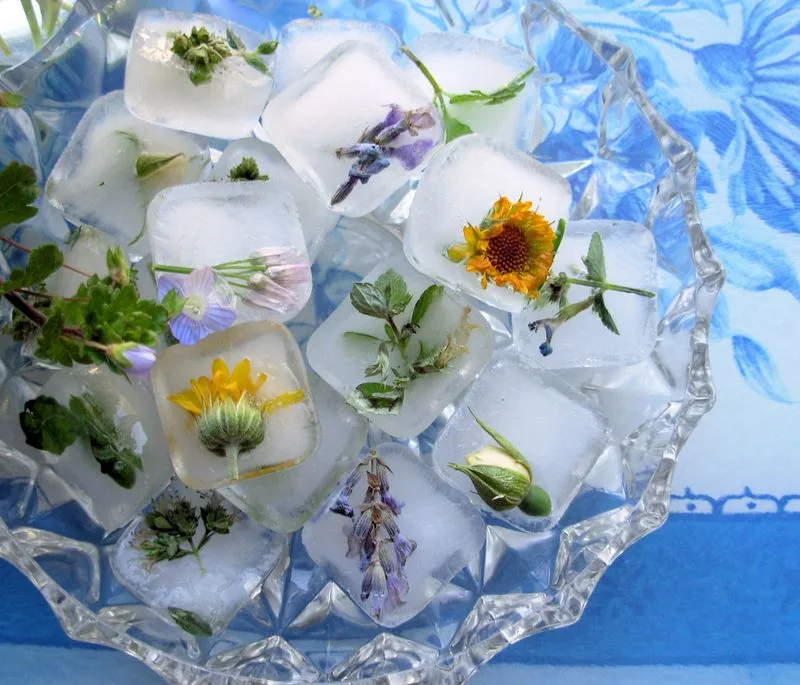 Floral Ice Cubes