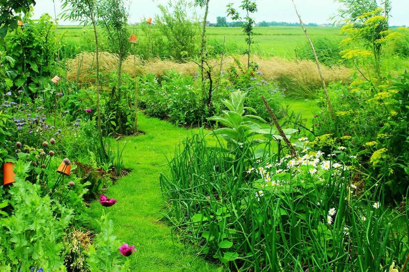 Forest Gardening