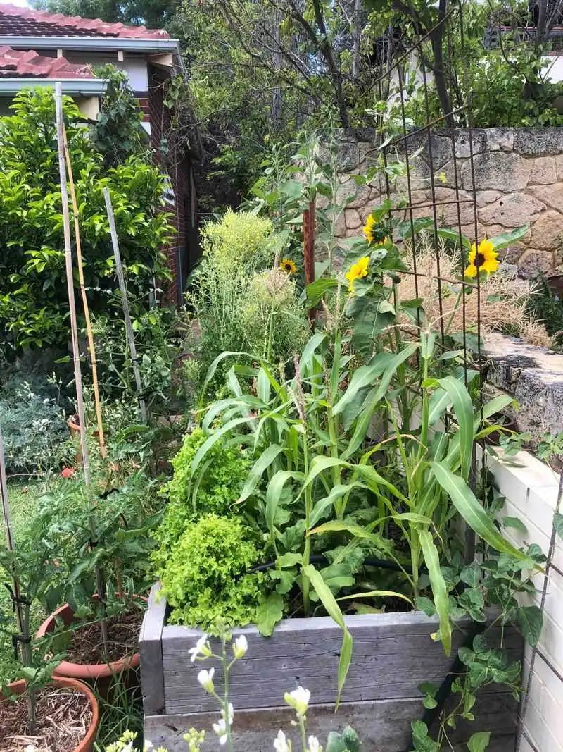Forgetting Plant Labels