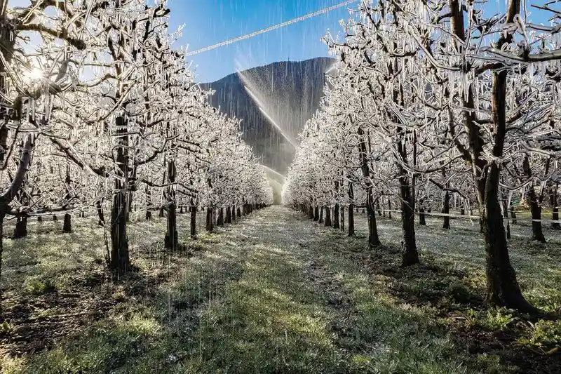 Frost Protection Methods