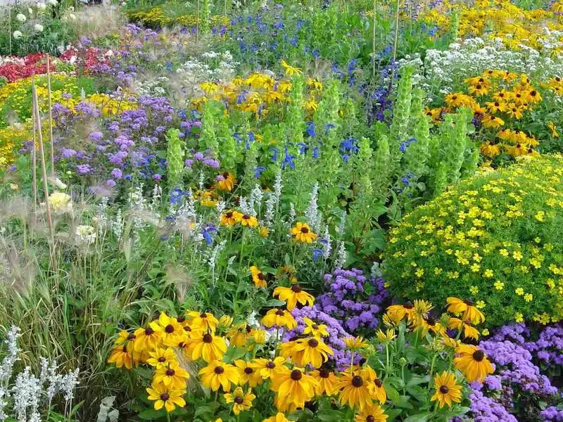 Garden Design for Biodiversity
