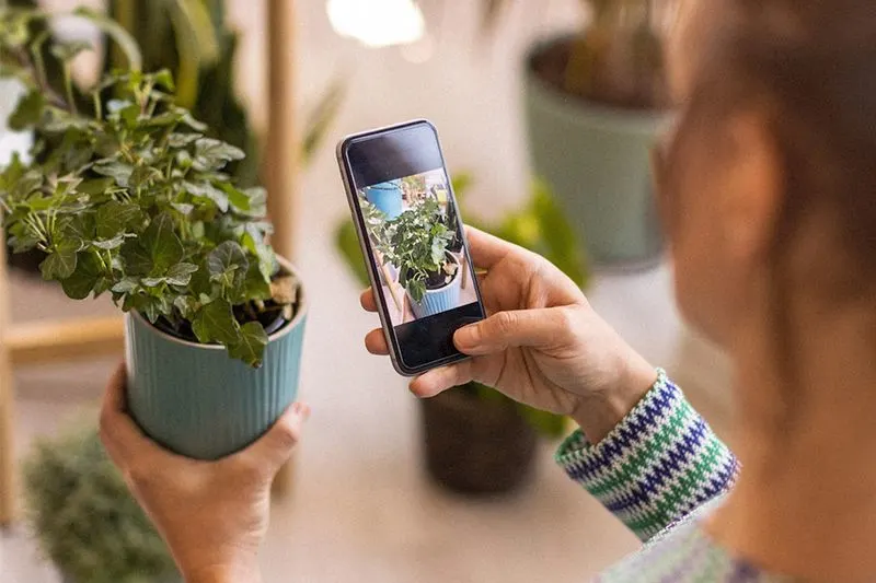 Gardening Apps for Planning