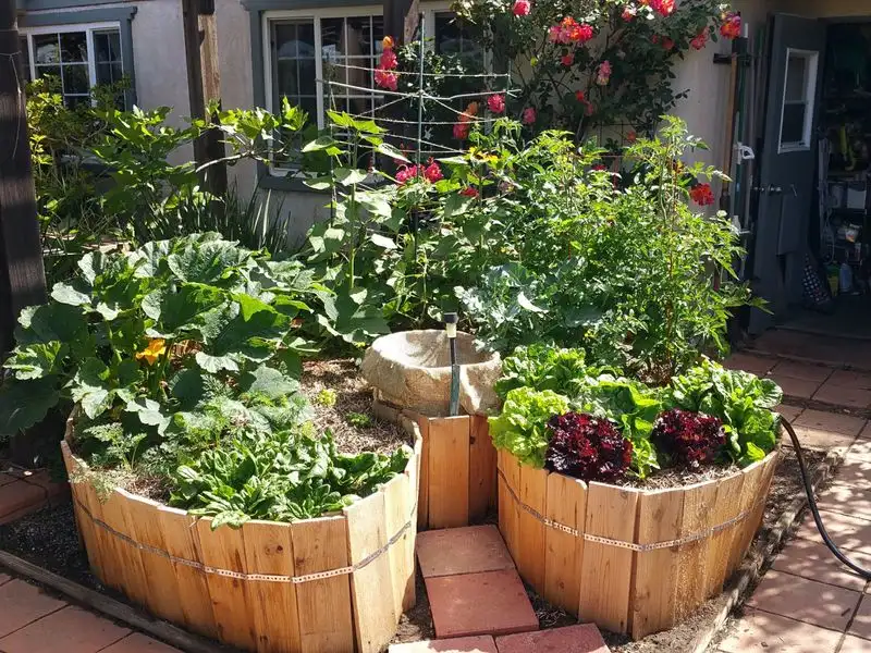 Gardening Workshops
