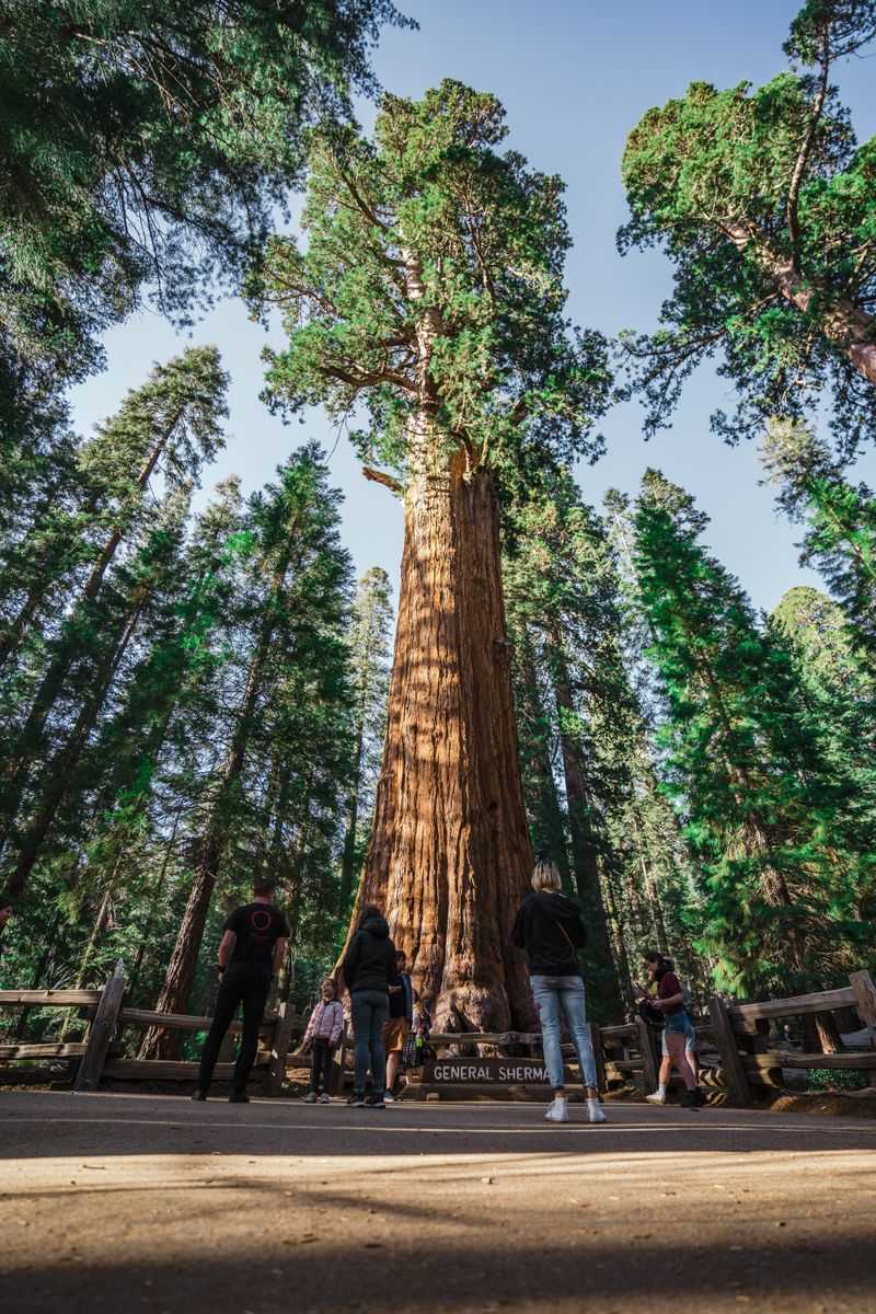 General Sherman, California