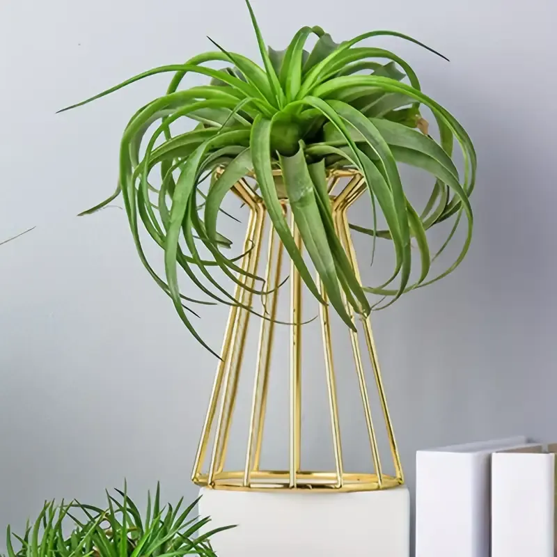 Geometric Plant Towers