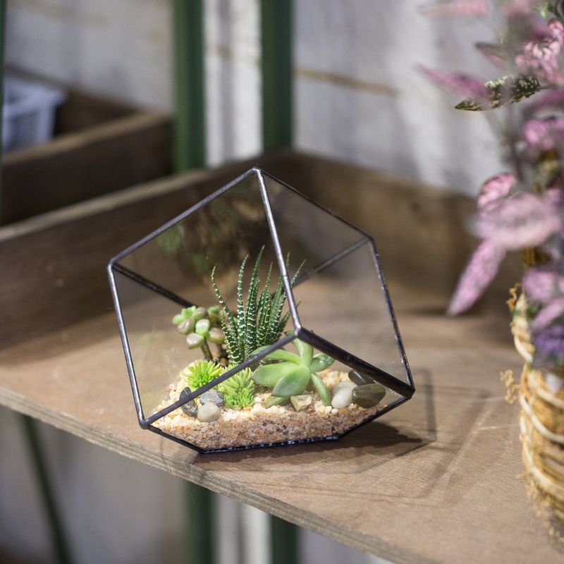 Geometric Terrariums