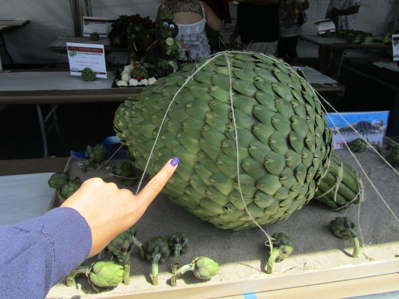 Giant Artichoke