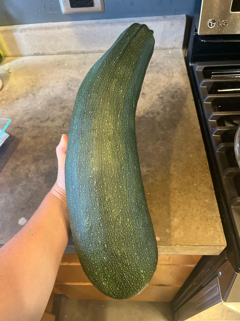 Giant Zucchini