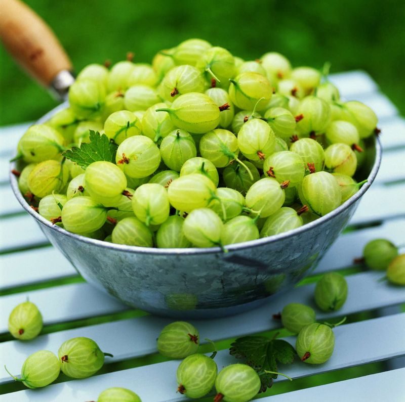 Gooseberries