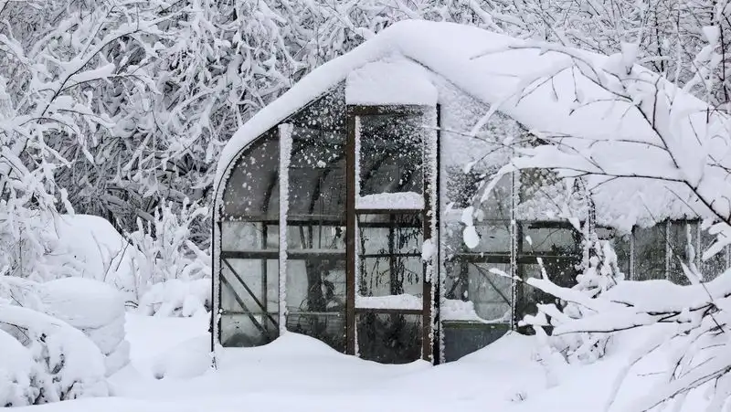 Greenhouse Window Care